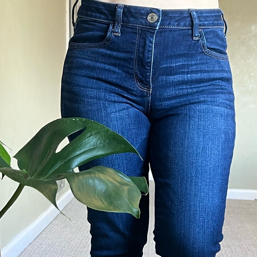 American Eagle Outfitters Mid Rise Blue Jeans Size (10) Long